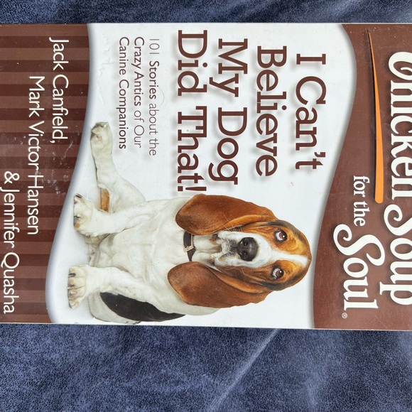 Two Chicken Soup books - Picture 1 of 4